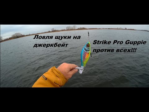 Видео: Ловля щуки на джеркбейт.Strike Pro Guppie против всех!!!