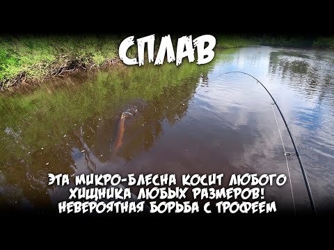Видео: Сплав / Эта микро блесна косит любого хищника любых размеров / Невероятная борьба с трофеем