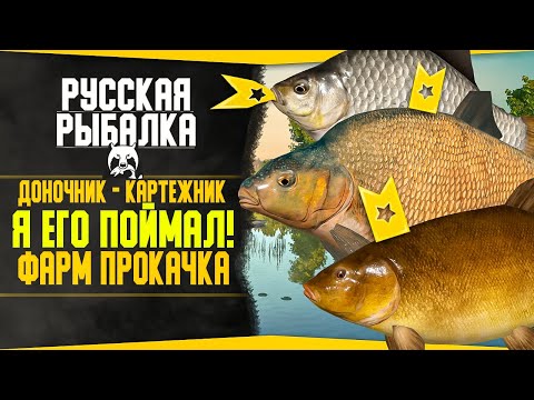 Видео: Путь доночника-картежника! в РР4 #14 💥Я Поймал Этот Трофей! Фарм, Прокачка! | Русская Рыбалка 4