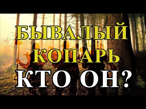 Видео: Профессионал кладоискатель, кто он? Подход к копу, важность знаний и полученный результат.