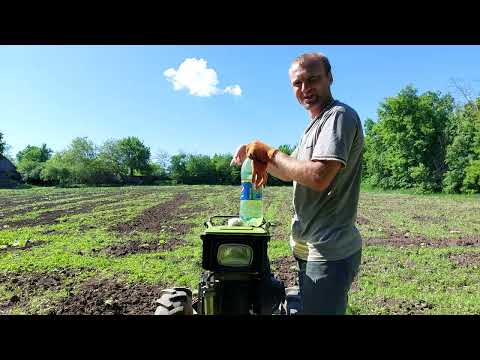 Видео: Прополка тыкв на земельном участке тяжелым дизельным мотоблоком Зубр 8 л.с. Pumpkin weeding