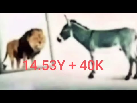 Видео: Фарм киллов до 40к. WWE School Simulator. Blockman Go.