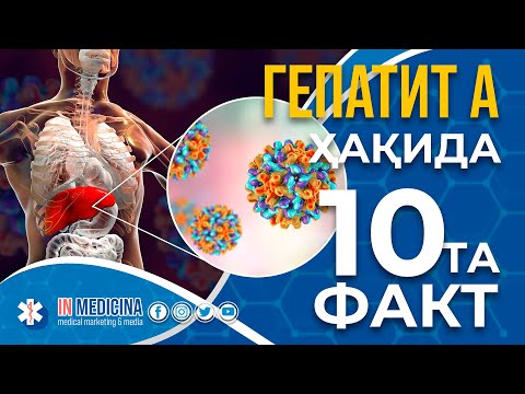 Видео: Гепатит А хақида 10та энг муҳим фақт. #inmedicina #tibbiyot #gepatit #gepatita