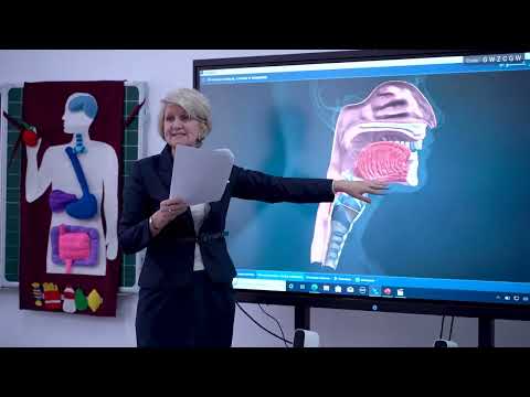 Видео: «Үздіктен үйрен», Салахадинова Е.В, урок по предмету "Естествознание"