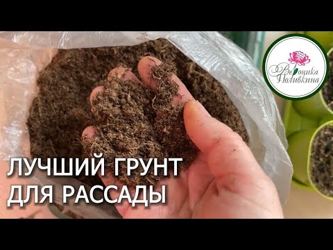 Видео: ЛУЧШИЙ ГРУНТ ДЛЯ РАССАДЫ