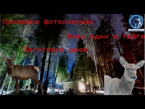 Видео: ИЗЮБРИ на СОЛОНЦЕ.  ЗАЧЕМ ЗАКРЫВАЮ ЗИМОВЬЁ.  ЗАВОЗ МАТЕРИАЛА для стройки.