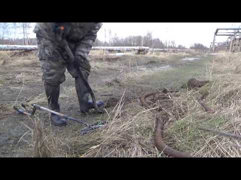 Видео: Такого ЧЕРВЯКА я ещё не находил!! Удачный металлокоп. Архивное видео.