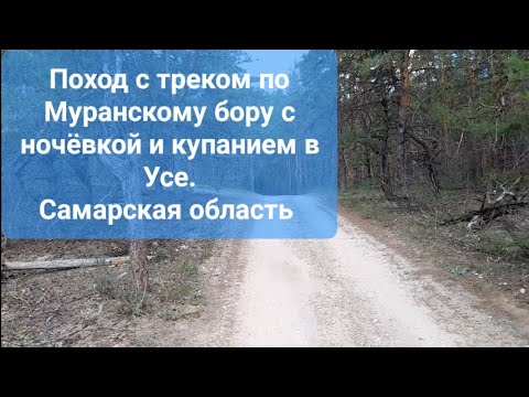 Видео: Маршрут самостоятельного туристического пешего похода. Муранский бор Шигонский район Самарская обл.
