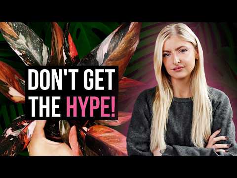 Видео: Я вообще не понимаю шумихи вокруг этих растений