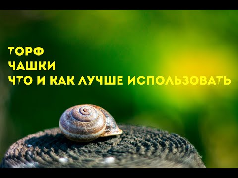 Видео: Торф, чашки для икры, что и как использовать | улиточная ферма | Xellix Aspersa Muller | Maxima |