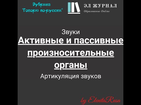 Видео: Звуки. Артикуляция звуков. Активные и пассивные произносительные органы