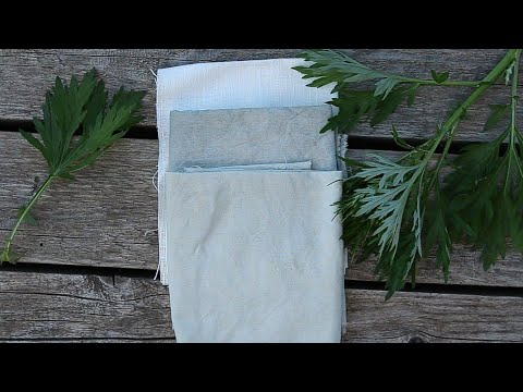 Видео: Окрашивание ткани натуральными красителями: Полынь / Natural Dyes: Wormwood