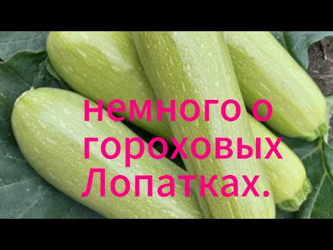 Видео: СУШИМ КАБАЧКИ/ ВОССТАНАВЛИВАЮТСЯ НА 98%