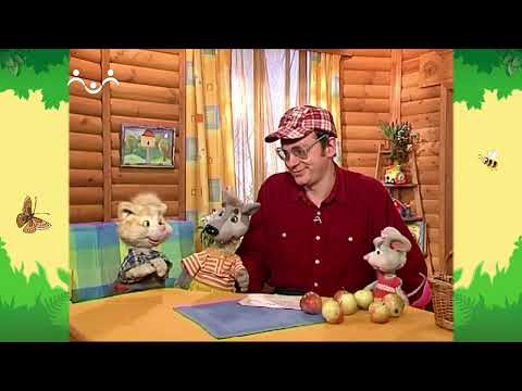 Видео: День в Шишкином Лесу. Геометрия. Квадрат