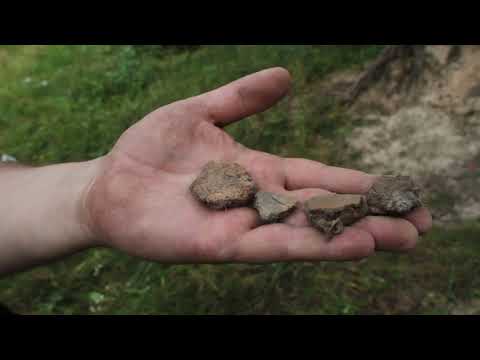 Видео: Мощинская и колочинская культуры на территории Дятьковского района.