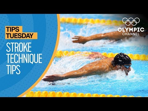 Видео: Советы Тренера: Плавание - Гребок | Olympians' Tips