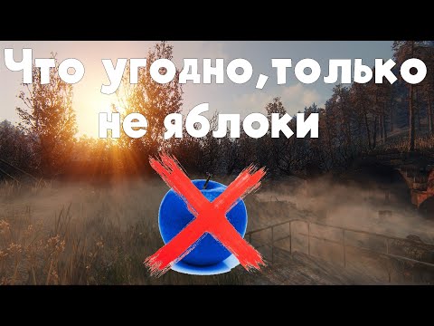 Видео: Stalker Online\Stay Out\Сталкер Онлайн: Что угодно, только не яблоки