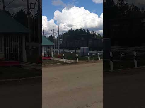 Видео: 10 ноября 2025 г.