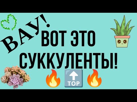 Видео: РАСПАКОВКА СУПЕР ПОСЫЛКИ ОТ ИРИНЫ ♥️🌵/ МЕЧТЫ СБЫВАЮТСЯ!!!