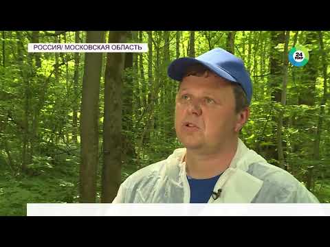 Видео: Вакцинация диких хищников в подмосковных лесах