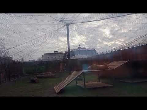 Видео: VTHI7701 Шархан 06.11.2025 Видео от Ивана