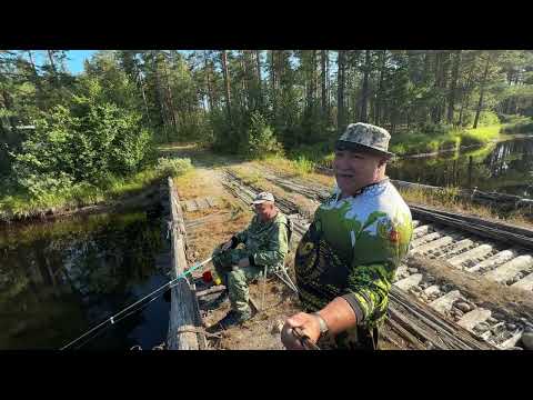 Видео: Рыбалка с другом на просторах Карелии
