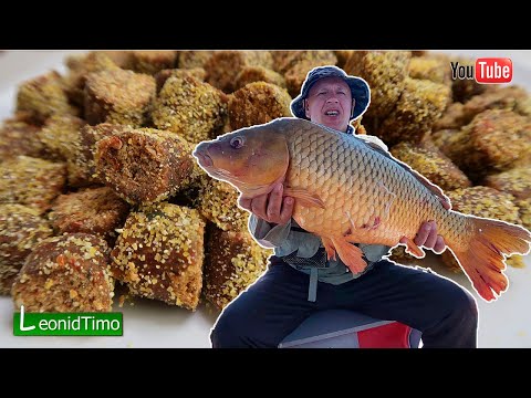 Видео: Лучшего Теста для ловли Карпа и Карася пока не Существует 🐟 РЕЦЕПТ