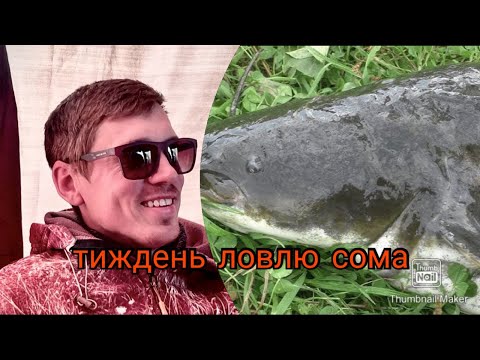 Видео: ТИЖДЕНЬ Рибалка на СОМА  , які місця на сома я вибираю , на що ловити сома .