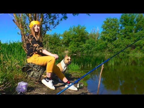 Видео: УУХ! ПОЙМАЛА рыбы и приготовила НА КОСТРЕ! Рыбалка на поплавок с собакой!