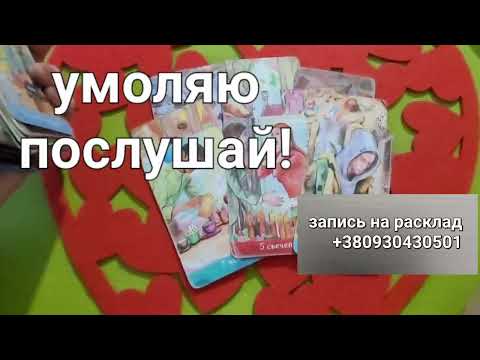 Видео: ‼️Мужчина просит слова⁉️