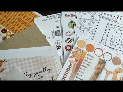 Видео: Октябрьская установка — Cocoa Daisy