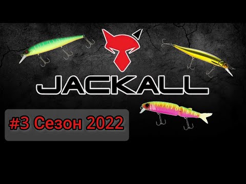 Видео: Jackall. Япония достойная уважения. Подготовка к сезону 2022.