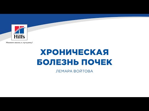 Видео: Вебинар на тему: "Хроническая болезнь почек". Лектор - Лемара Войтова