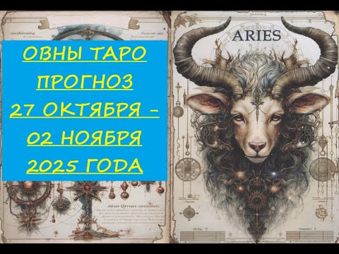 Видео: 25 октября 2025 г.