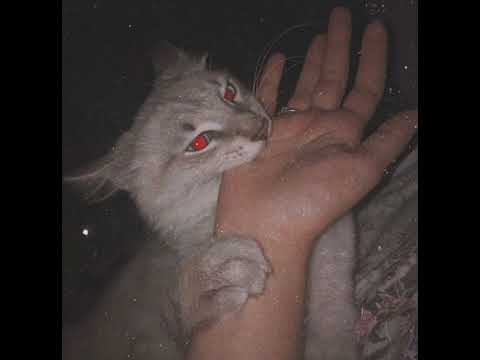 Видео: qWazAr - Одиночество (speed up)