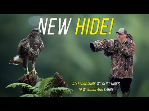 Видео: Убежища дикой природы Стаффордшира: новое убежище! Это лучший в мире пруд с зеркалом?