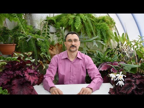 Видео: О солевом статусе растений, осмотическом давлении и фильтрах с обратным осмосом. Часть первая.