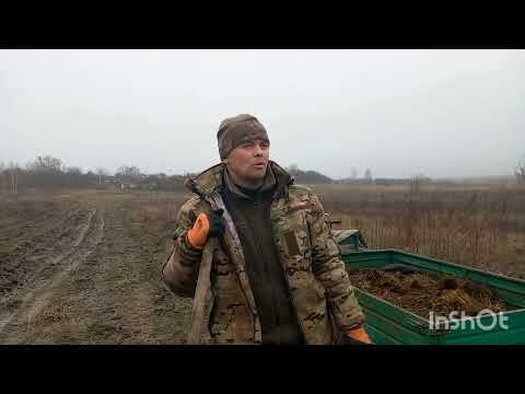 Видео: Вивожу гній на поле."Готую віники до продажу"