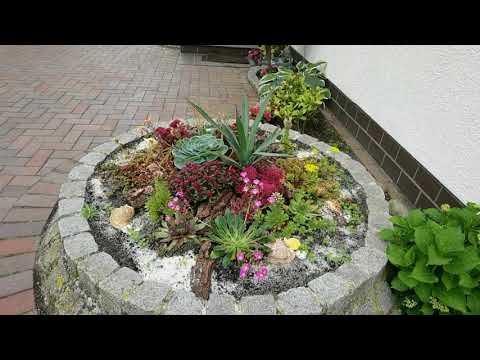 Видео: 🌼🌸ВО САДУ ЛИ, В ОГОРОДЕ🌸🌼/ 147