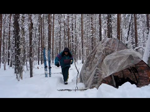 Видео: Тайга, палатка и Жулька.