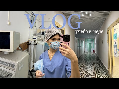 Видео: VLOG | учеба в медицинском университете | неделя в меде | как выживает 1 курс |БГМУ