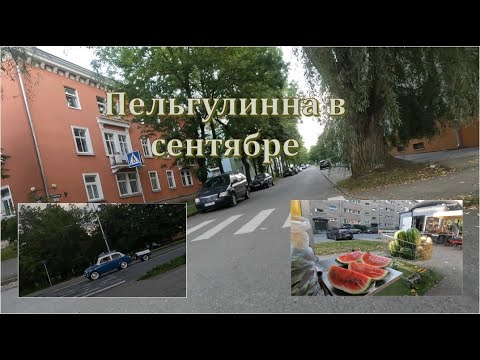 Видео: Пельгулинна в сентябре