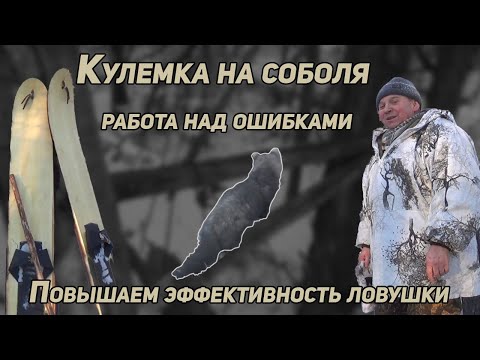 Видео: ✔️ КУЛЕМКА НА СОБОЛЯ. РАБОТА НАД ОШИБКАМИ. ПОВЫШАЕМ УЛОВИСТОСТЬ ЛОВУШКИ.