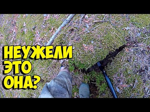 Видео: Коп 2018 - С НОВОЙ ЛОПАТОЙ НАХОДКИ ЕСТЬ ДАЖЕ ТАМ, ГДЕ ПРОШЁЛ ТАБУН КОПАТЕЛЕЙ!