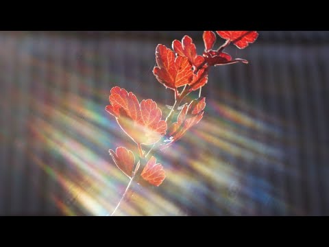 Видео: Новизна привычного. Изменение вибраций