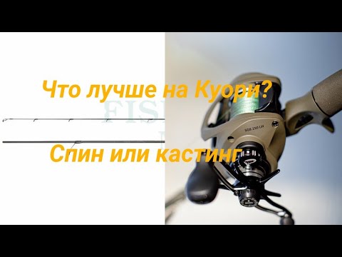 Видео: Что Лучше Подходит Для Ловли На оз. Куори Спин Или Кастинг? | Русская рыбалка 4