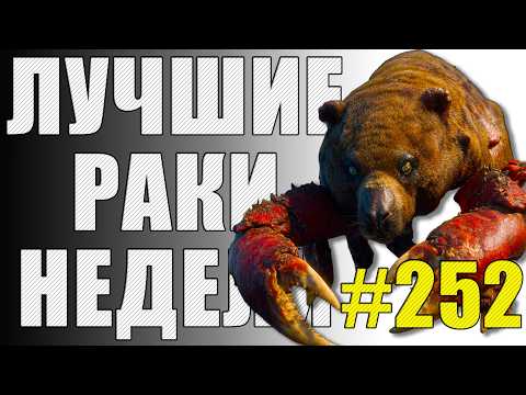 Видео: ЛРН выпуск №252 🤪 КОЛОБОК, МЕДОЕД и ОСТРОВОК БЕЗОПАСНОСТИ  [Лучшие Раки Недели]