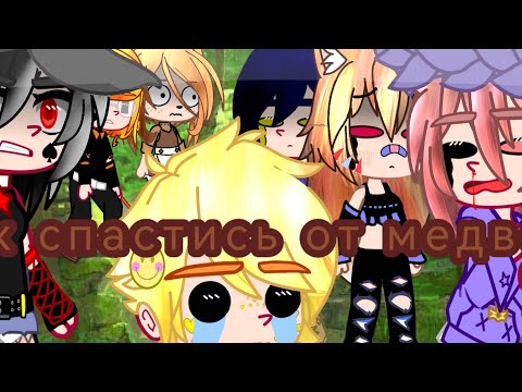 Видео: Уральские пельмени //как спастись от медведя?//