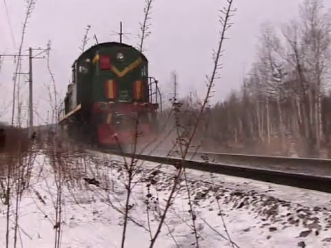 Видео: Смертельный случай на перегоне