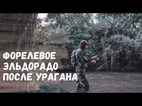 Видео: ФОРЕЛЕВОЕ ЭЛЬДОРАДО. Нашел речку которая кишит форелью. На что ловить форель - лучшая приманка!